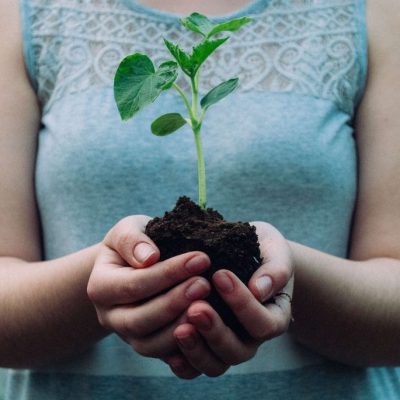 girl-holding-plant-1024×685 girl-holding-plant-1024x685